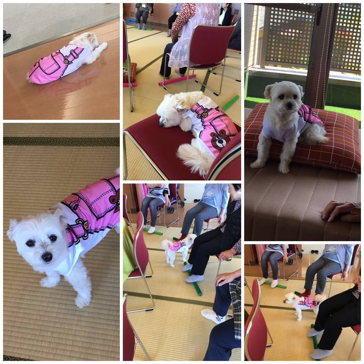 Ca9493a5 dd99 45d3 a705 d73fe3b7f691 1558079630774