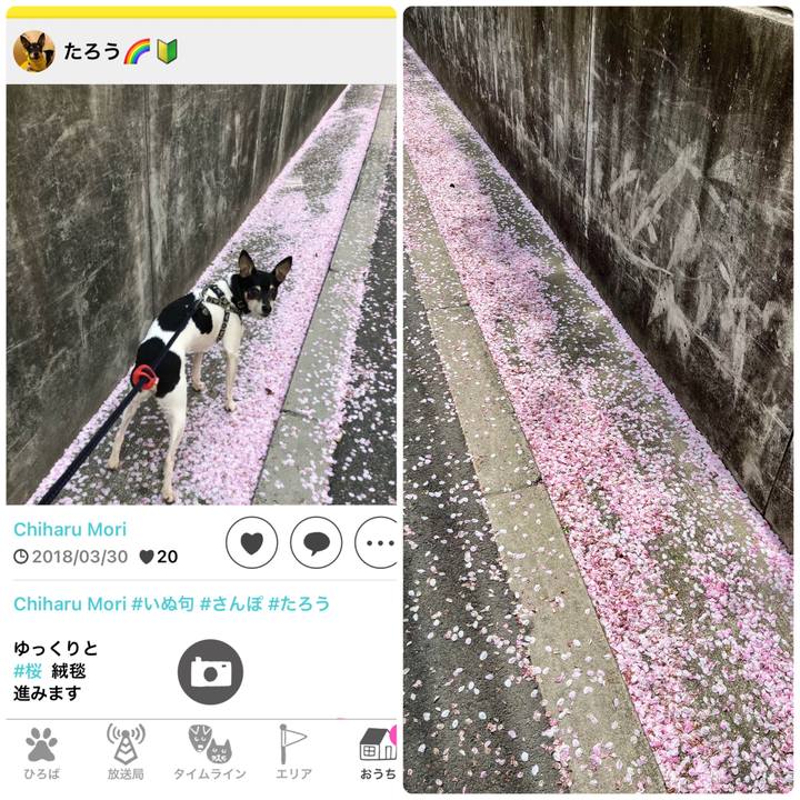 Ca95155f ad95 4ee7 bde4 9243f6a8df50 1680580310684