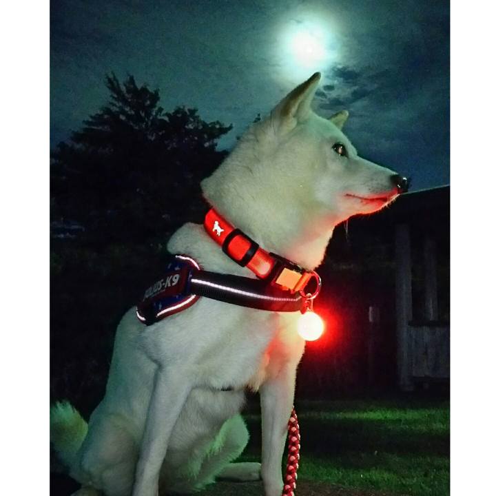 Ca9517f3 5f1a 4c02 92ae 5147e7c8ac5b 1568376509521