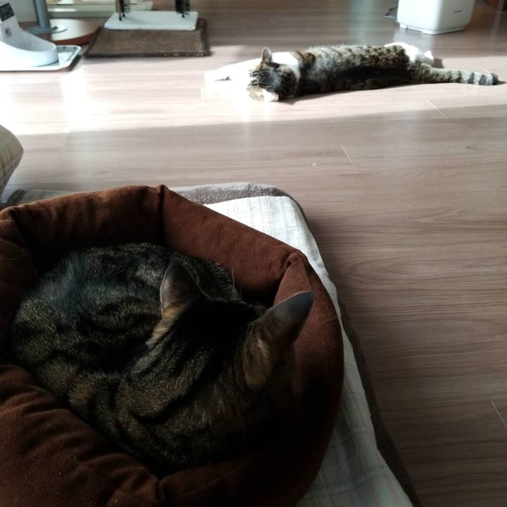 Ca9521b1 ad33 4f83 9d72 3083b5ab6f21 1577929223450