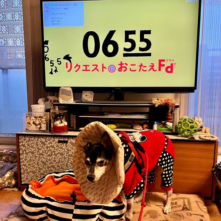 Ca952c11 828e 4165 a5fd 02f614881e0c 1642720877993