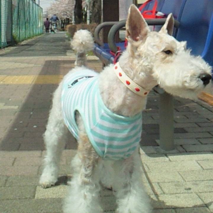 Ca9536da 4aa1 428a a998 adc8c6cb953e 1594251849088