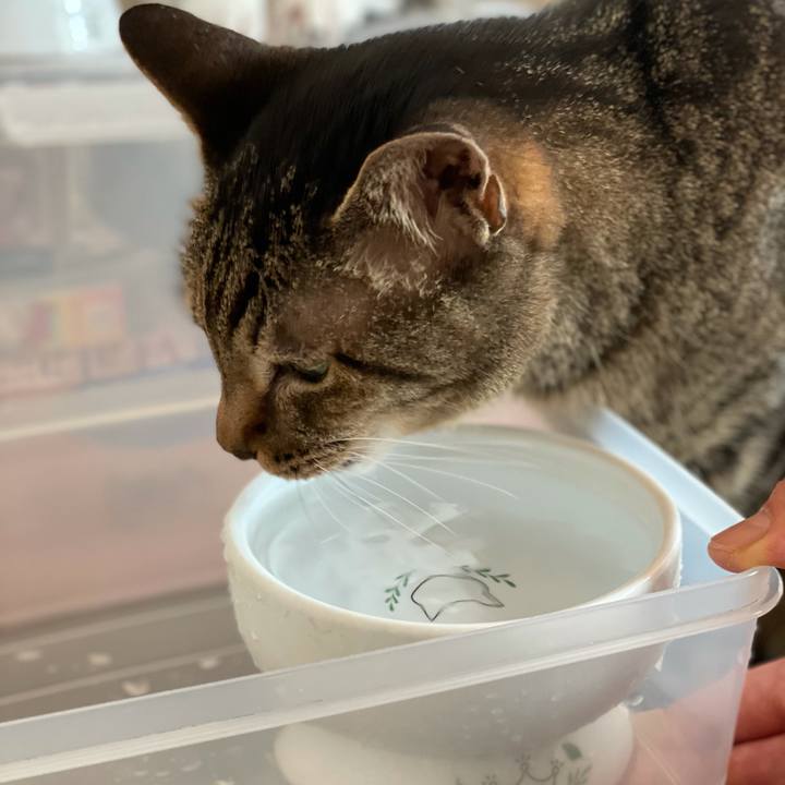 Ca958f25 0185 4573 8671 5bf3a8385dc4 1620956492145