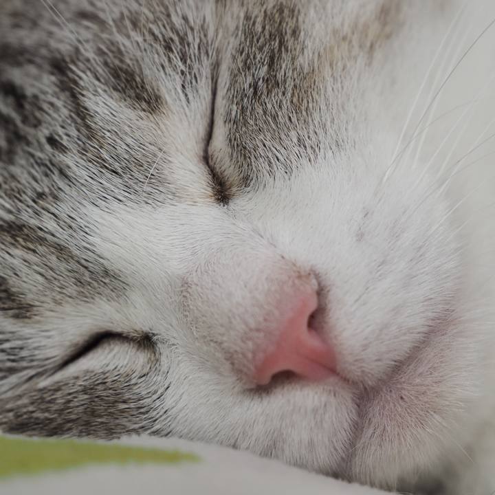 Ca95af30 3a08 45d5 bcea d290ae7d8a2f 1602934830655