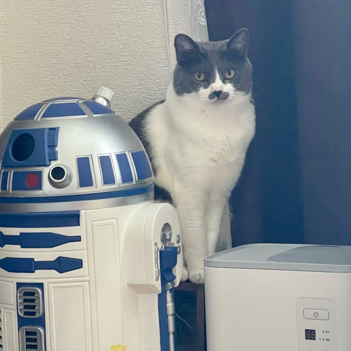 Ca95f629 8168 44a7 9559 5b415ab674b5 1653636384435