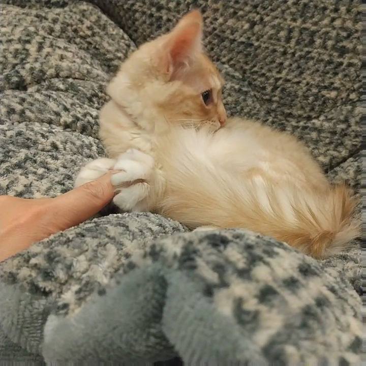 Ca9603a8 01b5 4329 9968 9454e2e5d86a 1609850223738