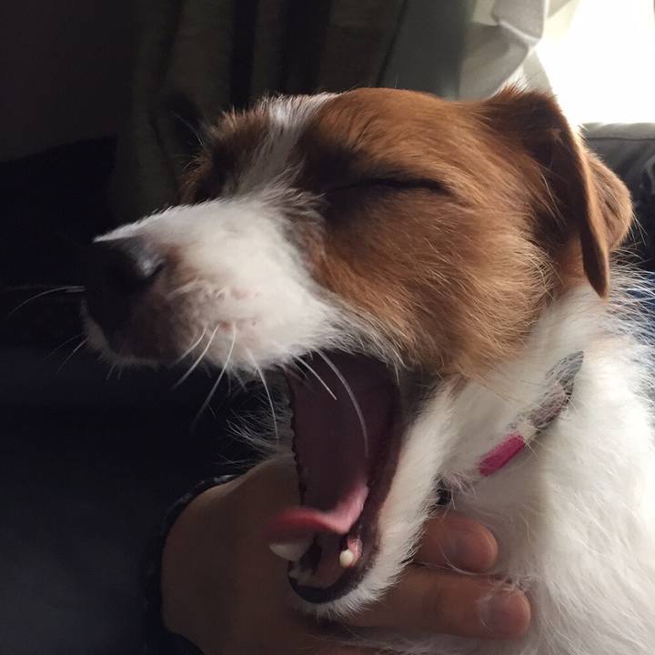 Ca9633fa 050d 40a3 9828 b0ee0d212e7a 1516401700835