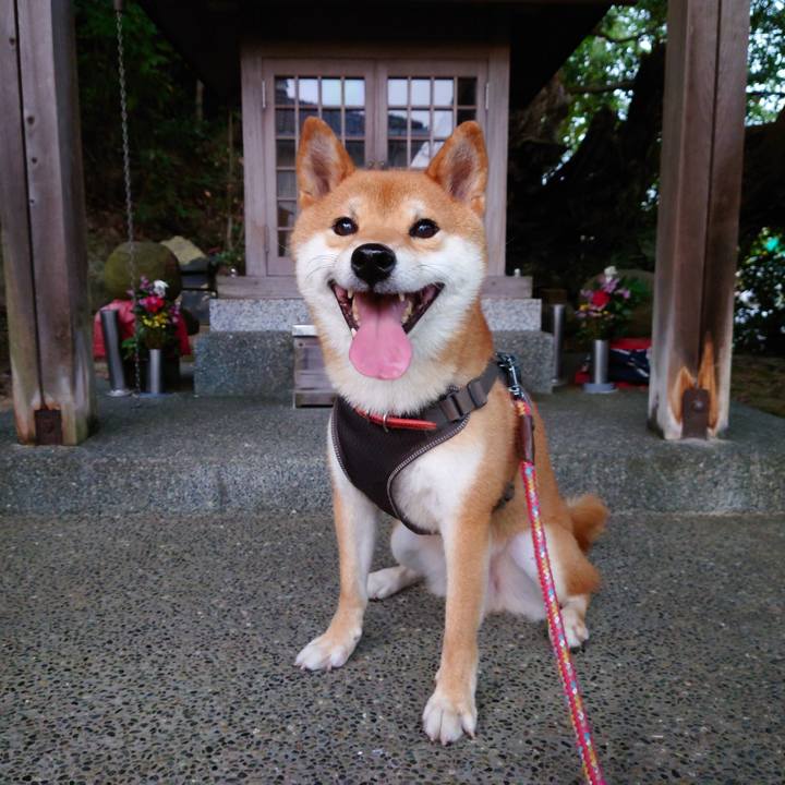 Ca9696b0 92e0 474c 97c5 adeebd754095 1758802496050