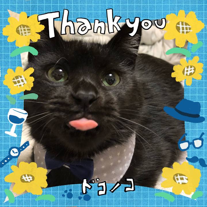 Ca96c31e 615b 40b1 a5e0 6fe30b58e956 1717826452770