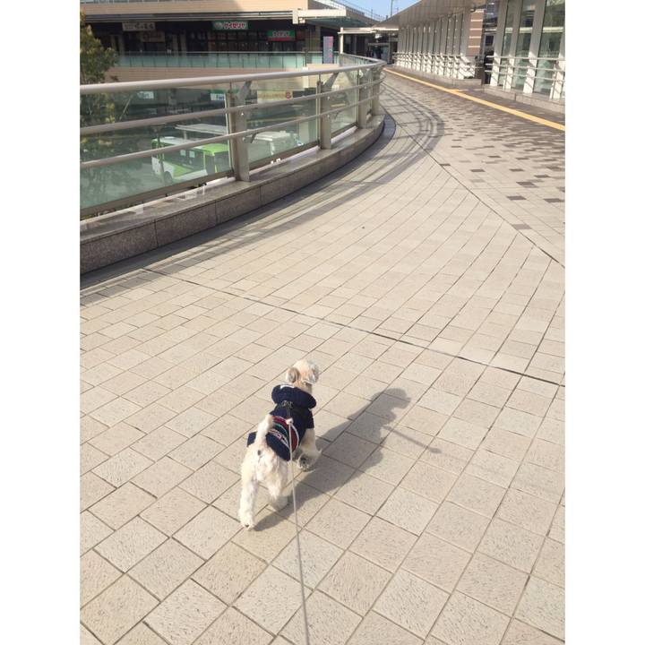 Ca96d530 5028 4ad6 b1a4 30727b01457c 1543043282480