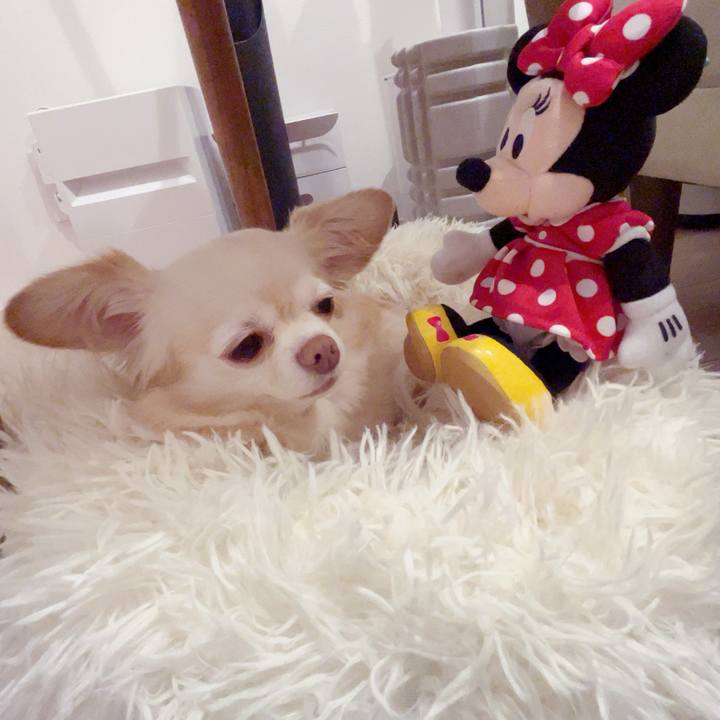 Ca97084f 66a8 48e2 a8fb 11ec8e47063d 1752240210800