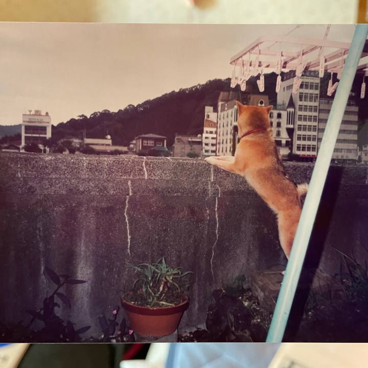 Ca9711fd e94f 4eda aca3 52dbfae53085 1661921980205