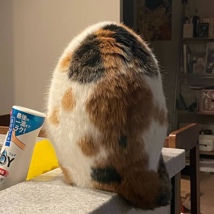 Ca97275a 3a80 4009 9f53 f2304e8c804a 1737120308532