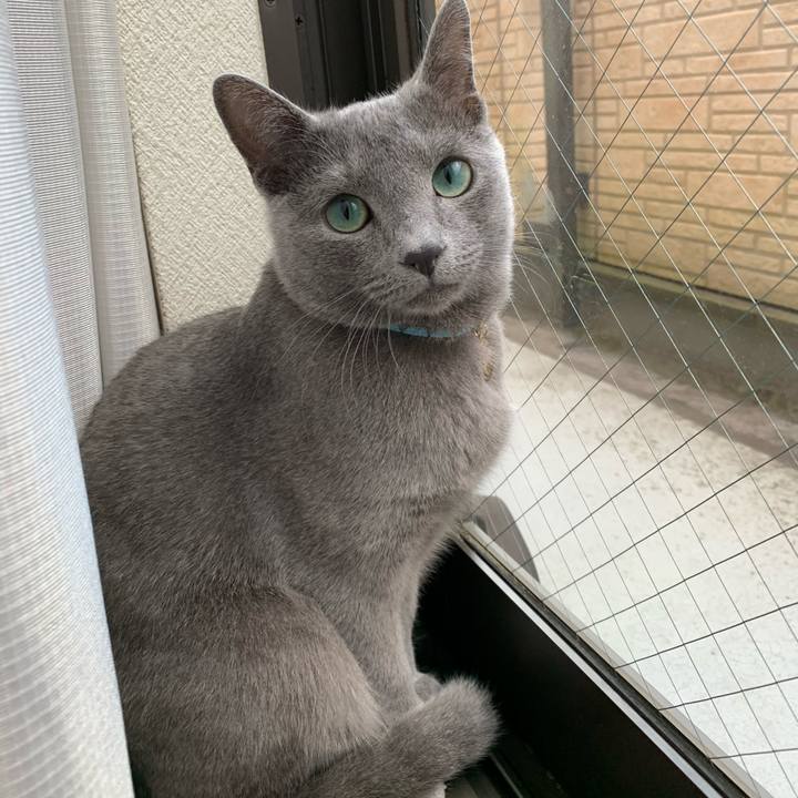 Ca973163 0459 41b2 a3b6 bd3809f12d20 1577229456216