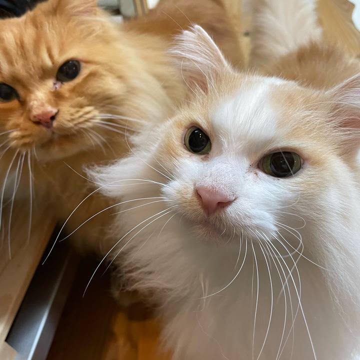 Ca97373b 4a24 4d1d b483 5e74443c5a69 1648154636691