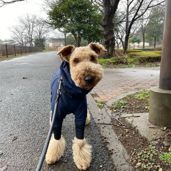 Ca975e05 64b0 424d b64d 55d344a99317 1583846238935