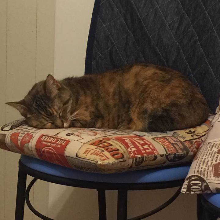 Ca97746a 262c 404d 9a38 f5f932184650 1557415815023