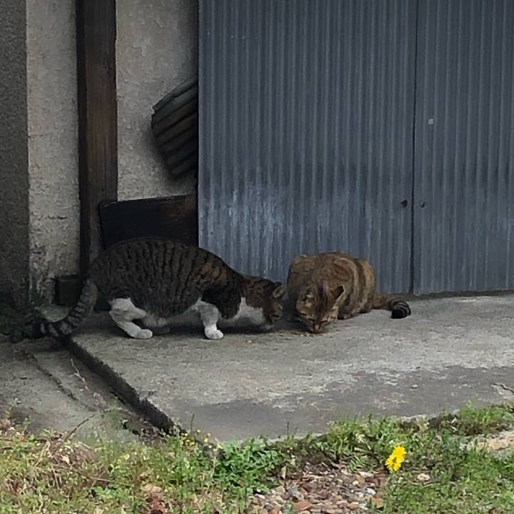 Ca9783ca 1225 4ce0 88a7 b1d683ea2750 1554121311026