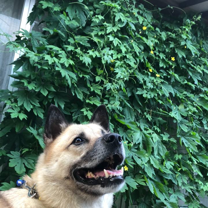 Ca97a2f2 8f02 4711 9236 29bf9f0b1085 1626090227359