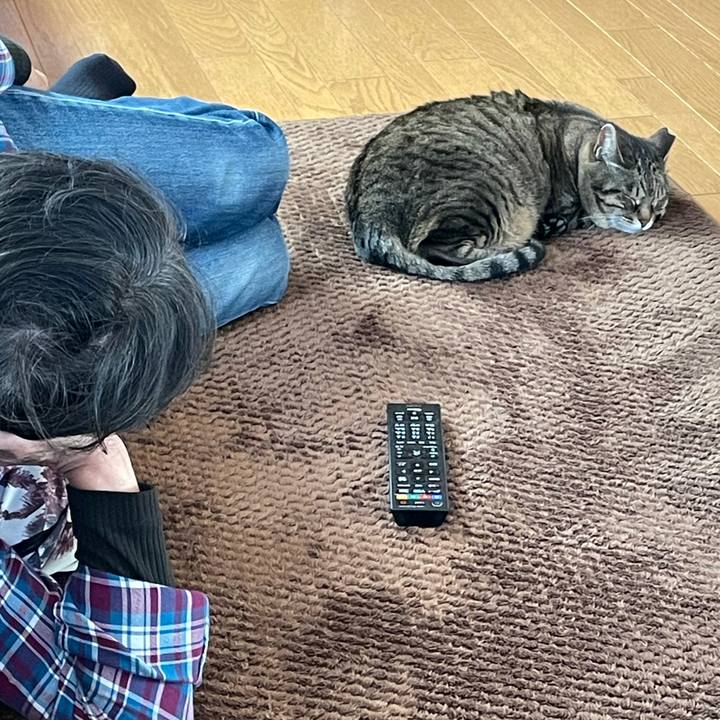 Ca97b867 e95e 47b9 840f 0fb4950f40eb 1618126030740