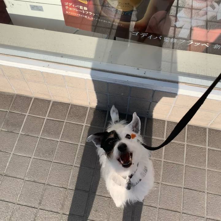 Ca97b909 218a 4d29 ac8d 52ac295f3695 1715242089716