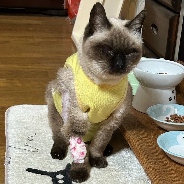 Ca97d266 d73b 4df4 ad49 7af1a69c457a 1673439339959