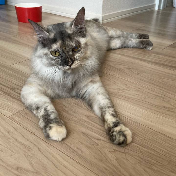 Ca97ea7f d93a 453d a0c3 29e122154637 1721534078686