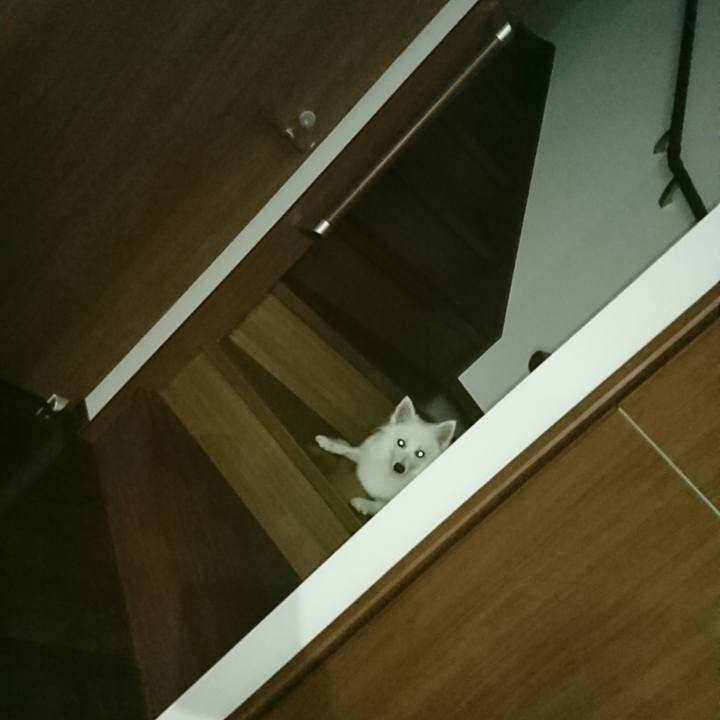 Ca9808d5 df5f 4f46 92c9 321bb69a54a9 1534947251976