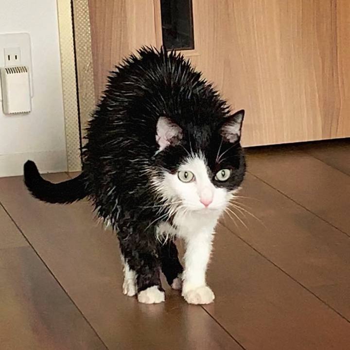 Ca9810a3 0067 4733 b06f eb92229b8380 1557009520968