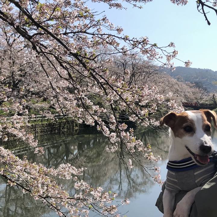 Ca981c9e 1e5e 49e6 aee9 bb374338001d 1744433712844