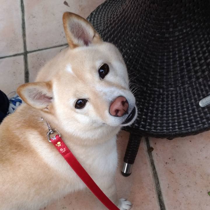 Ca9871b8 1caf 4a4c 884a c591055db4b3 1603507937631