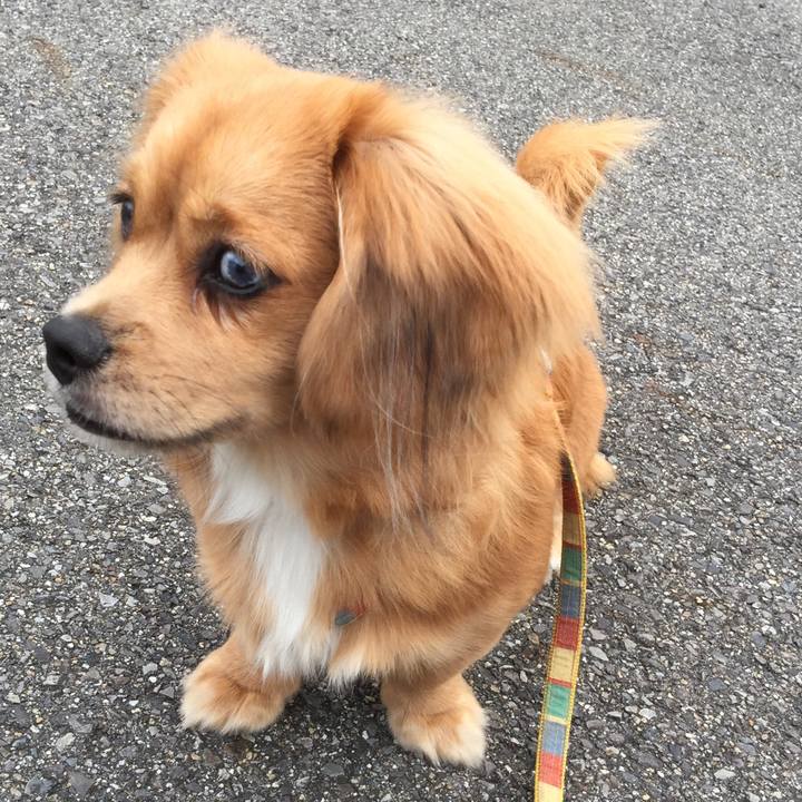 Ca988cb5 e7d7 408f 9ba8 5bb20d508d2e 1539032860981