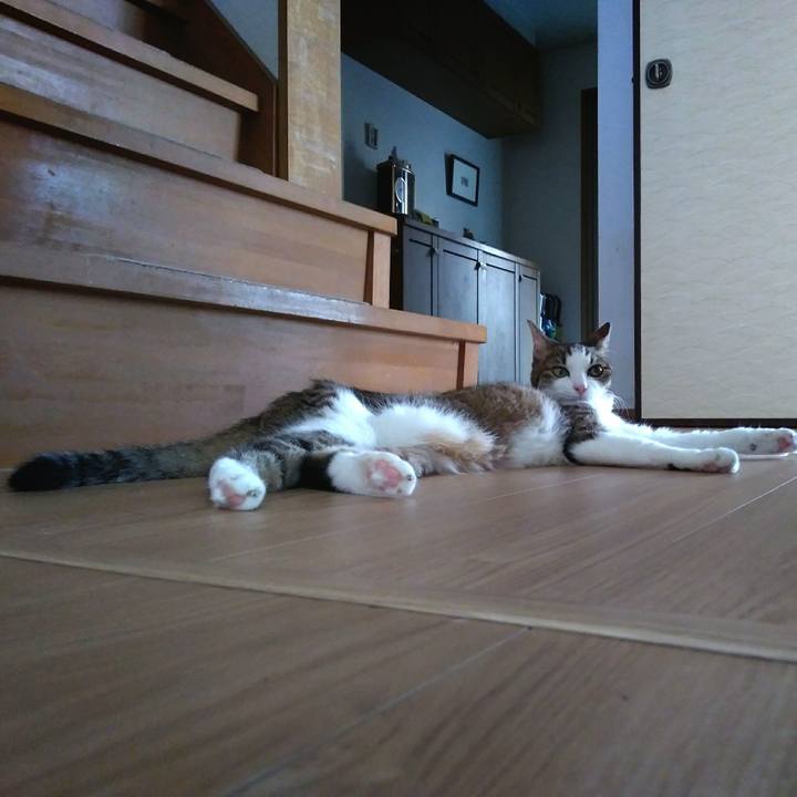 Ca98c835 735c 4124 8634 059175b646e0 1535229365530