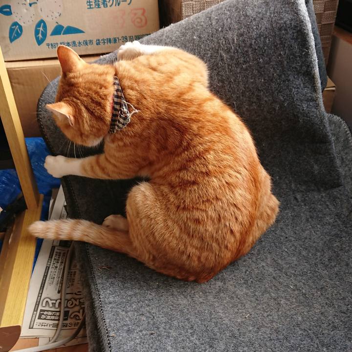 Ca98c8a0 d18f 466e bc19 fcbc5b504a12 1574568411057