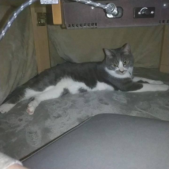 Ca98fbe0 c68a 43b0 876a 259cdf7ca1c3 1642411401810