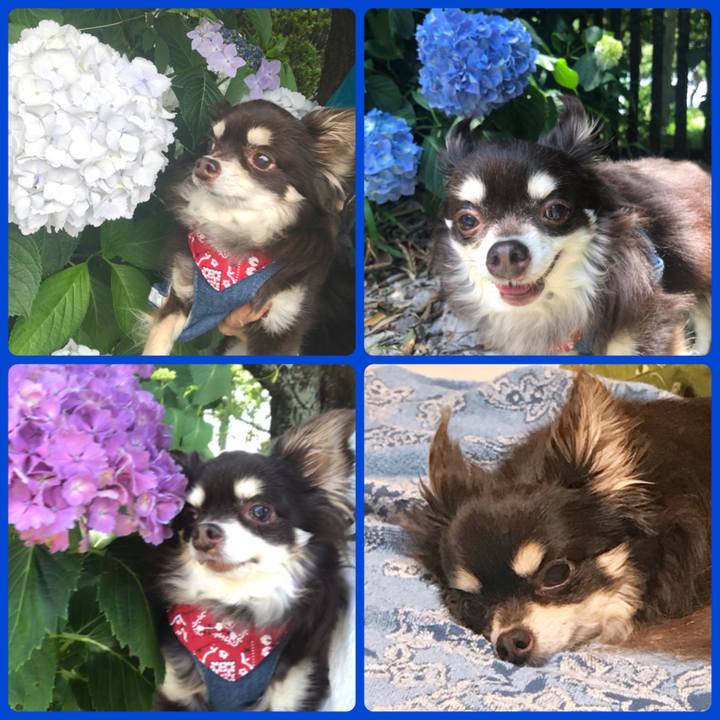 Ca9902b1 ddbc 4657 be17 7eae095e885e 1591856677602