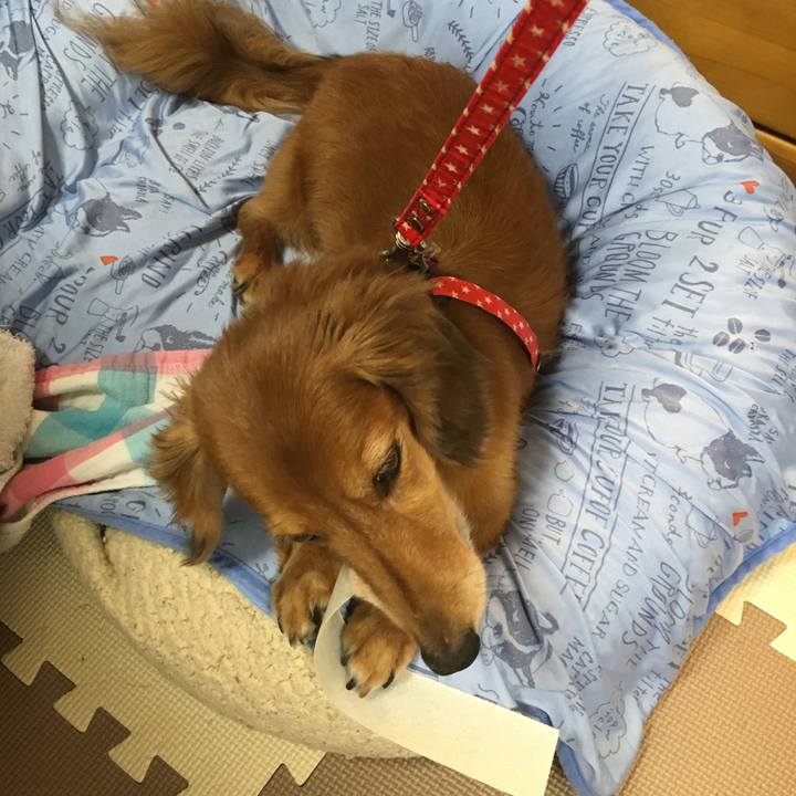 Ca992bb0 a3fb 4302 85c3 8fa5f21f4155 1598185855085