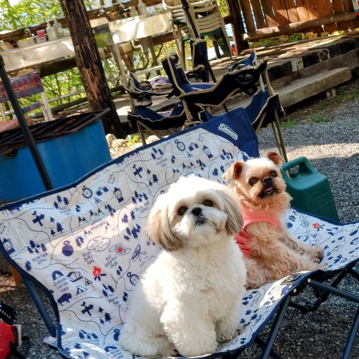 Ca998304 499b 4b34 87d4 bb1a28ab4f41 1683464708577