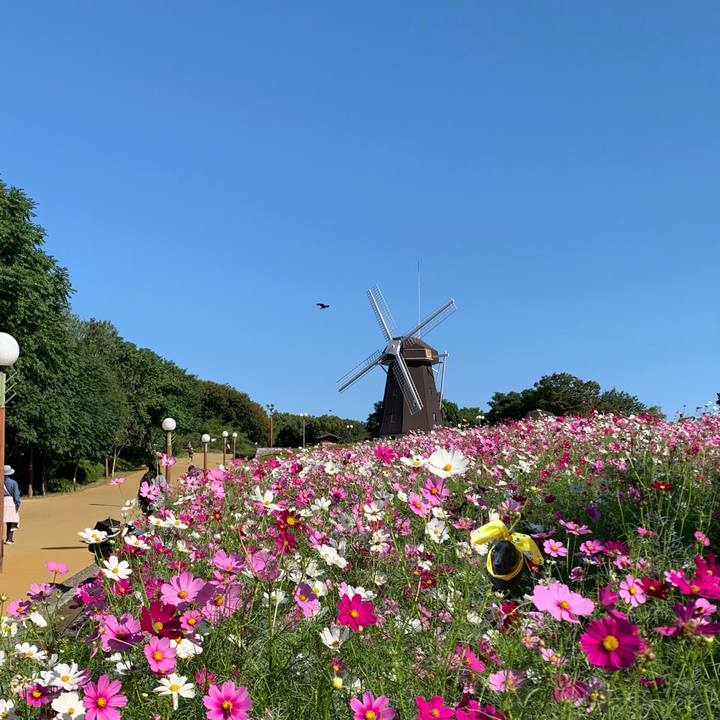 Ca99be04 fe53 44d5 ade7 554822b0dad5 1761184578263