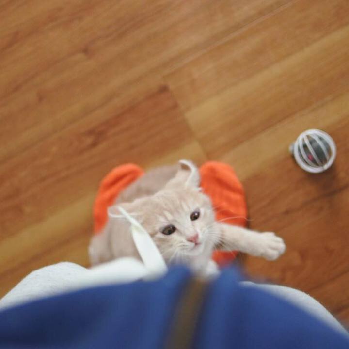 Ca99d01d 4c4c 4270 aa25 b6702021ba9f 1544535430472