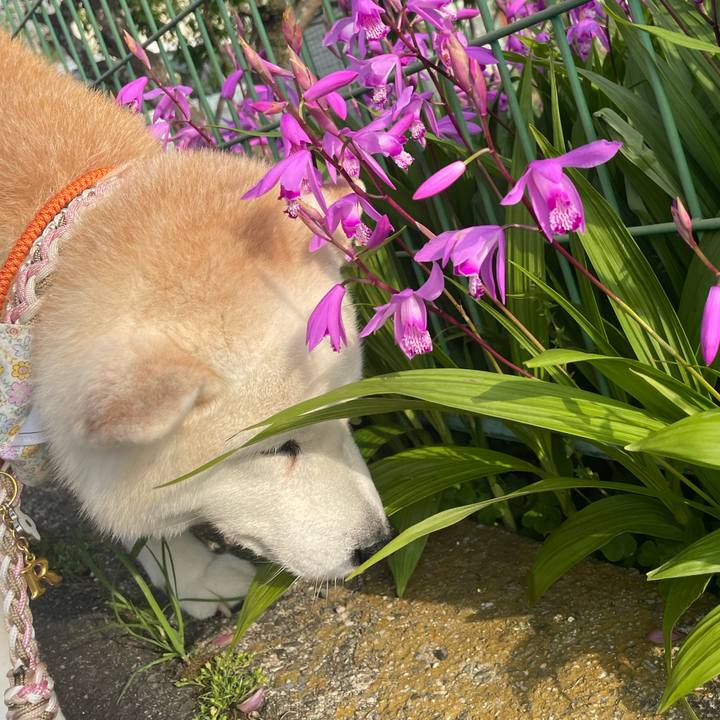 Ca99da2e a7cb 4fae b44e e7df1f2cbbe8 1682033065608