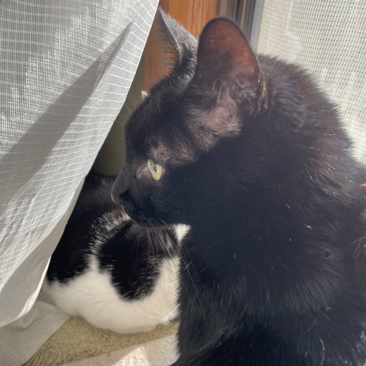 Ca9a01ef bcad 4a57 b635 cce3c1bbbb07 1609117427141