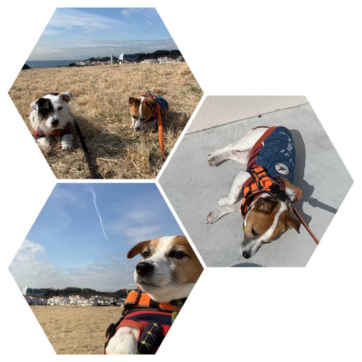 Ca9a02d3 8aa4 476c 8b98 227ac7480b89 1581041792608