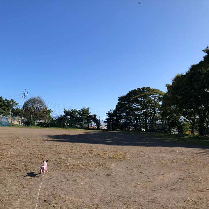 Ca9a5157 843c 4792 be03 37161730632a 1570621462927