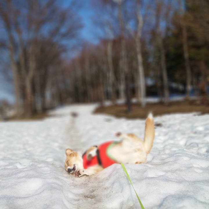 Ca9a5a2b b214 45fc 83bf a71206c53f4c 1773972609742