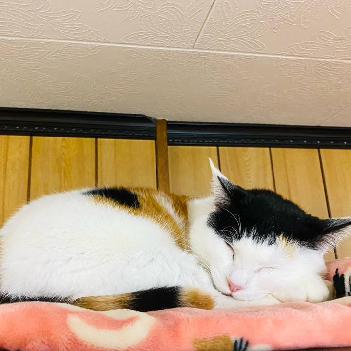 Ca9a9c43 a4bd 4c2b b8ea 64247456a1e6 1708519020798