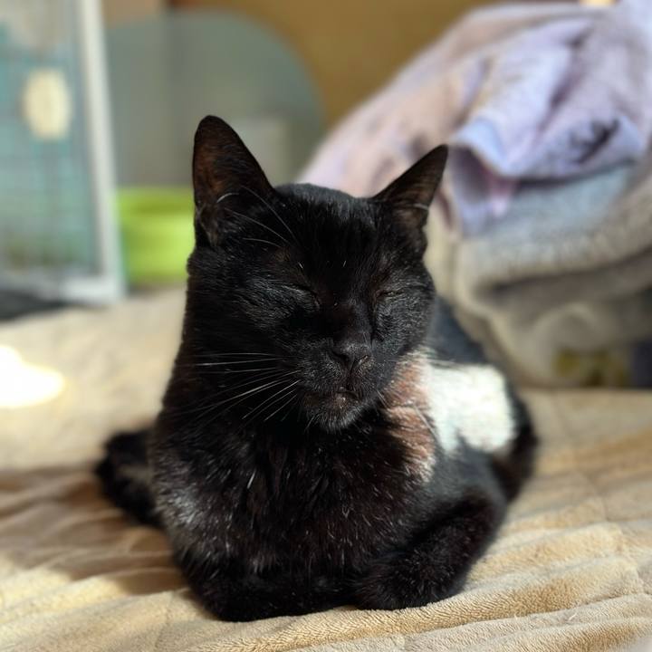 Ca9ab1a7 7429 4b76 8f57 e2b281fb58d2 1706580149337