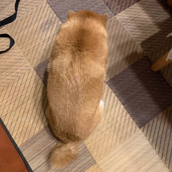 Ca9ab2b2 8849 4bec 8d1f cec077c68dc5 1592568620206