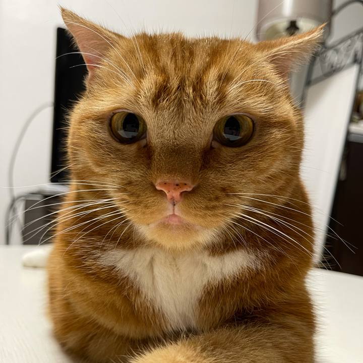 Ca9abc2c 2def 484c a063 06769ca37159 1635856065860