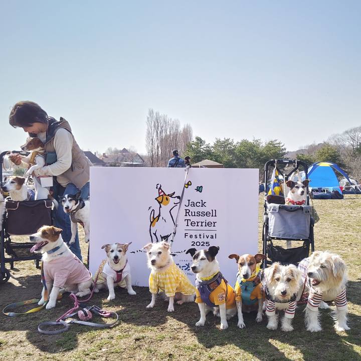 Ca9abd6a e218 49bc bfd4 8ad96abef6bb 1742644389784